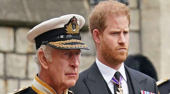 Prince Harry cannot occupy 'Counsellor of State' amid King 'prostrate ...