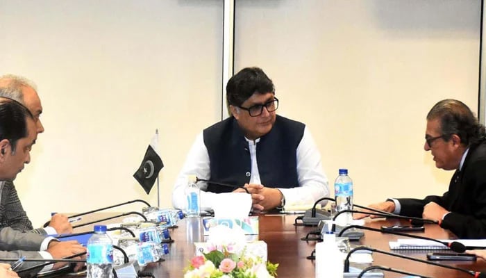 Fawad Hasan Fawad chairs a meeting. — PPI