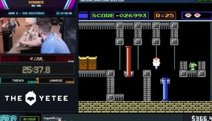 A Shiba Inu became the first dog to rush through a video game at an annual charity event and even came close to breaking a world record. —YouTube@Games Done Quick