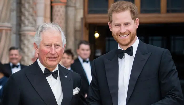 Expert makes huge claim about Prince Harry’s future in Royal family