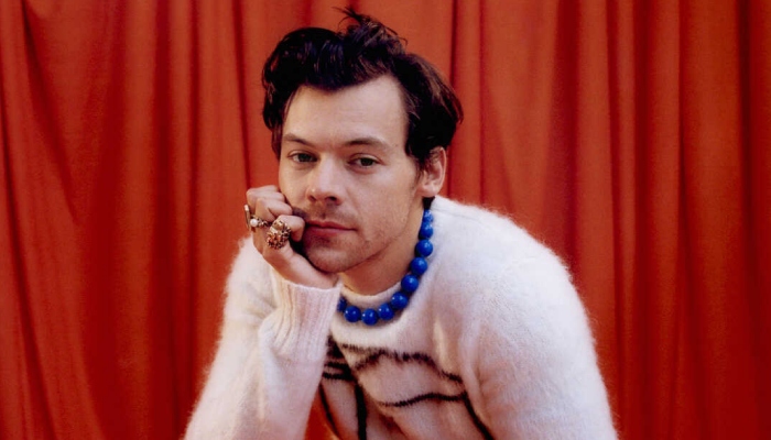 Photo: Harry Styles left shaken after disturbing stalker encounter
