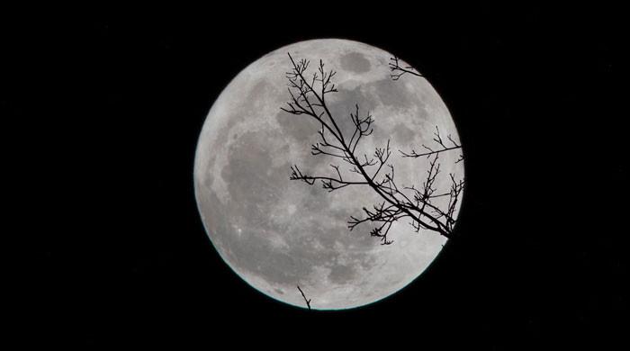 'Wolf moon' expected to rise tonight. Here's what we know - Vimarsana News