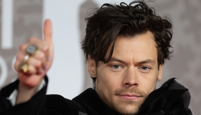 Photo:Harry Styles hidden trait exposed by pal amid stalker distress