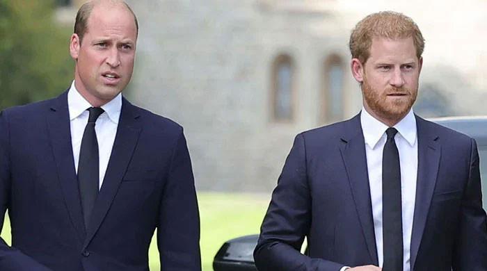 Does Prince William need Prince Harry in THIS difficult time? - Vimarsana News
