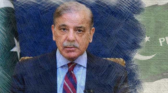 Shehbaz Sharif: What lies ahead for Nawaz's saviour? Shehbaz Sharif: What lies ahead for Nawaz's saviour?