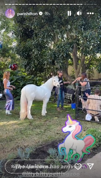 Paris Hilton celebrates son Phoenixs first birthday: ‘Im so Excited
