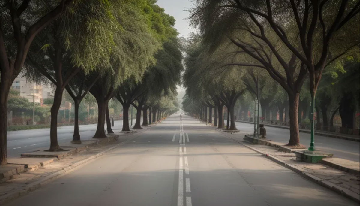 The picture shows a road surrounded by trees. — Lok Sujag