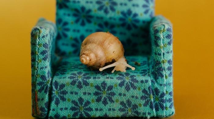 Snail mucin & its benefits: Everything you need to know Snail mucin & its benefits: Everything you need to know