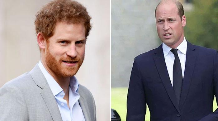 Prince Harry has knifed Prince William in the back - Vimarsana News