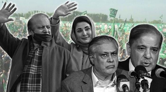 Elections 2024: PML-N's economic promises — Can they deliver?