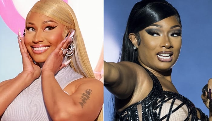 Nicki Minaj diss track endangers Megan Thee Stallions moms grave