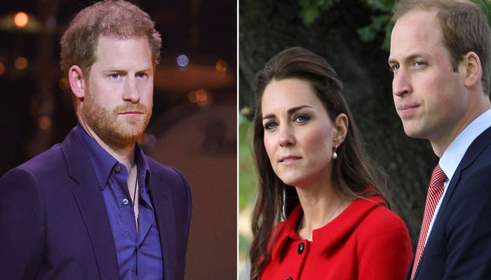 Prince Harry told to be careful, will regret grudges with Kate, Prince William