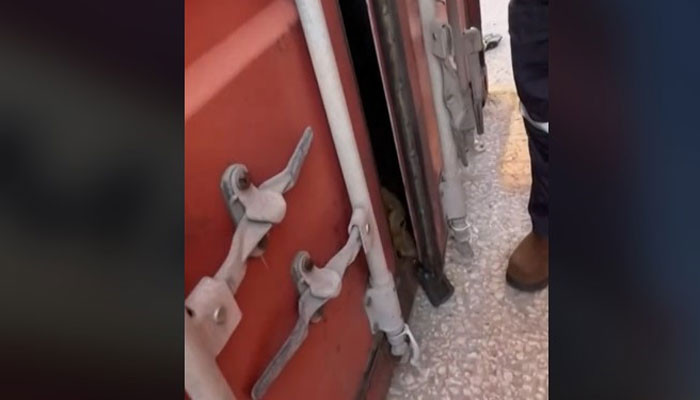 WATCH: US Coast Guard rescue dog trapped in shipping container for over ...