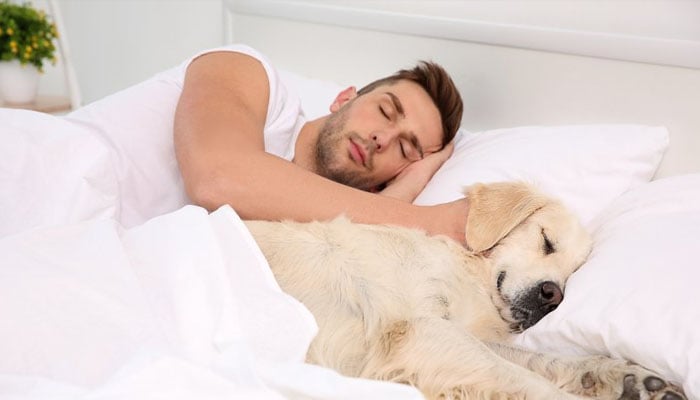 A person sleeping with his pet. — Sleep Solutions/File