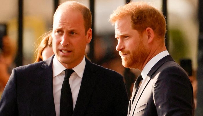 Prince William, Harry to forgive & forget amid King Charles cancer diagnosis?