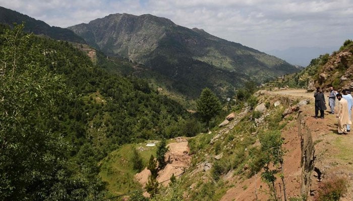 Officers of the Khyber Pakhtunkhwa forest department overlooks a forest area in Swat valley in northwest Pakistan. — AFP