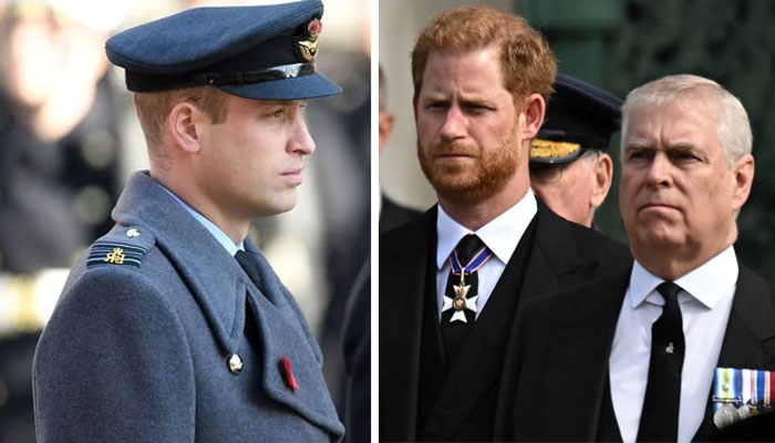 Prince William wants ‘domestic happiness not Prince Harry, Prince Andrew?