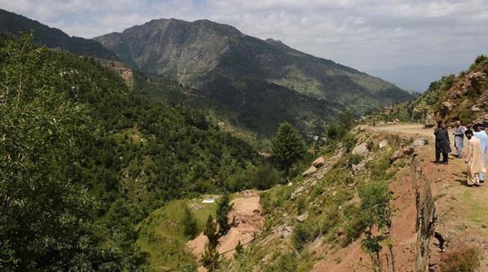 20% forest area lost to urbanisation in Pakistan 20% forest area lost to urbanisation in Pakistan