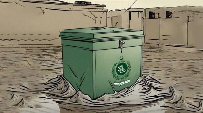 Pakistan Election 2024: Will party manifestos be climate-friendly only on paper?