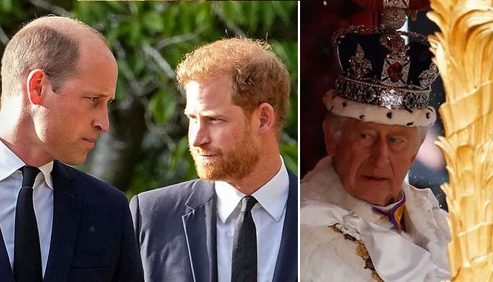 Prince Harry to ‘test Prince Williams resolve during King Charles cancer treatment