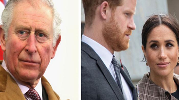 Prince Harry insults cannot be 'brushed' aside with UK visit to King Charles - Vimarsana News