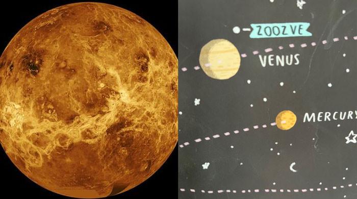 Zoozve: Unraveling the tale of Venus' accidentally mamed Quasi-moon - Vimarsana News