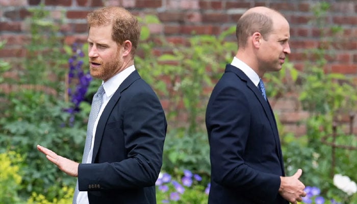 ‘Royal rift widens’: Prince Harry requires a ‘big change of heart’ to end feud