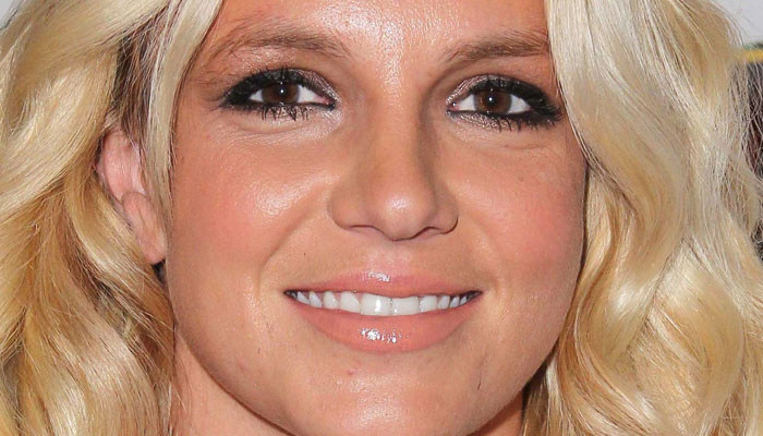 Britney Spears defends getting naked in public: Huge thrill
