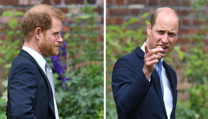 Prince Harrys risking ‘complete isolation once Prince Williams king