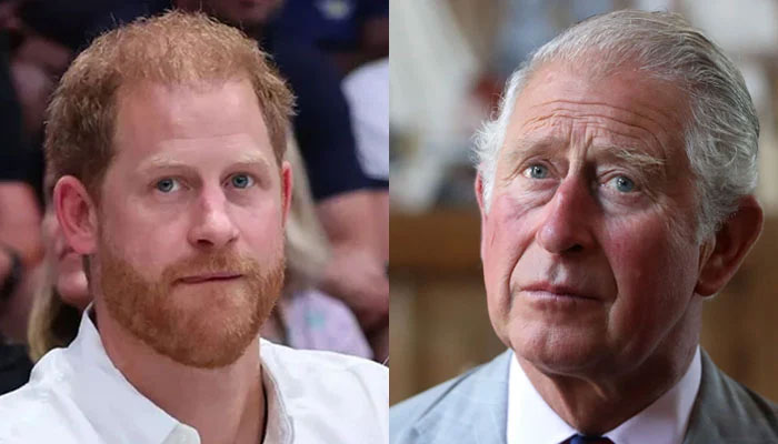 Prince Harry slammed for not giving ‘victim narrative a pause