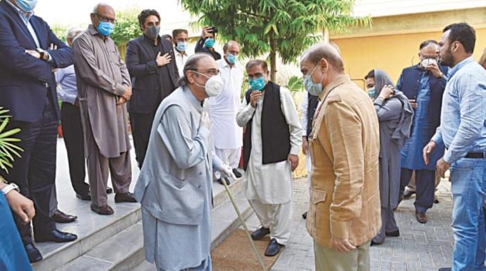 At least 18-20 newly-elected MNAs assure support to PML-N, PPP At least 18-20 newly-elected MNAs assure support to PML-N, PPP