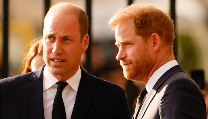 Prince William refused to meet Harry believing hed leak conversations