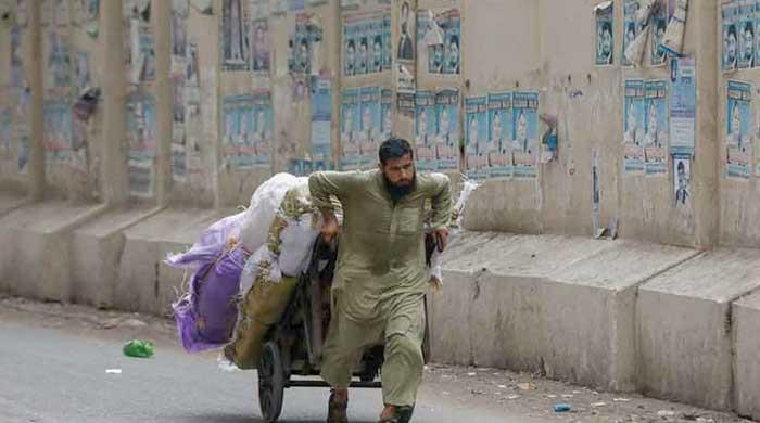 Shepherding the economy Shepherding the economy