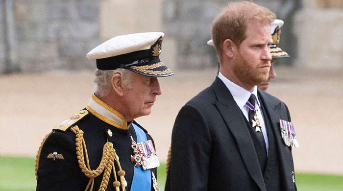King Charles urged to strip Prince Harry of his title after UK visit - Vimarsana News