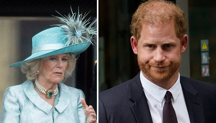 Prince Harry didn’t want Queen Camilla near him in the UK