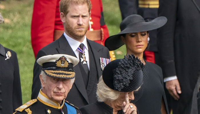 King Charles receives support from Queen Camilla amid Harry, Meghan website drama