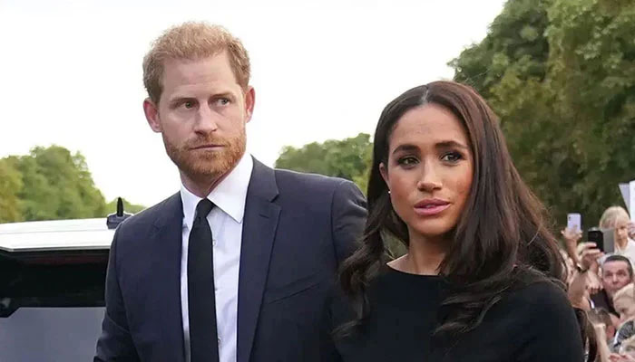 Prince Harry, Meghan Markle new website ‘spiteful attack’ on real Royal family