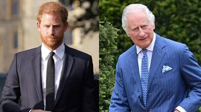 Prince Harry terrified of losing his only remaining parent King Charles - Vimarsana News