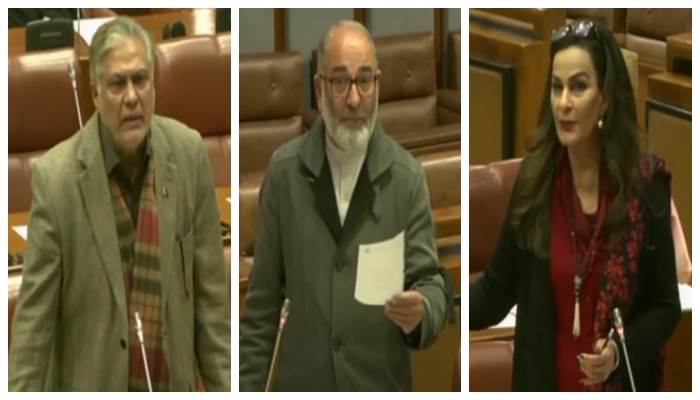 (Left to right) Senators Ishaq Dar, Mushtaq Ahmed and Sherry Rehman addressing the Senate session, on February 19, 2024, in this still taken from a video. — YouTube/SenateofPakistanOfficial