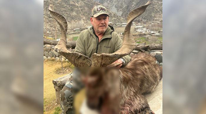 American hunts markhor in Chitral for $125,000