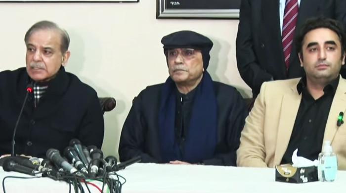 After days-long deliberation, PPP, PML-N finally achieve 'magic number' to form govt in Centre