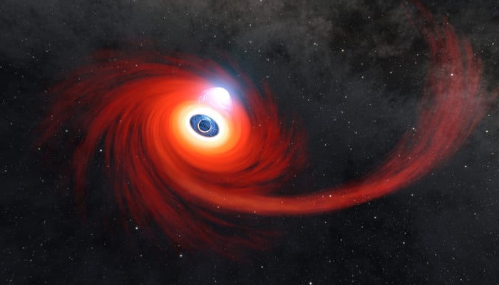 A disk of hot gas swirls around a black hole in this illustration as the stream of gas stretching to the right is the remains of a star that was pulled apart by the black hole. — Nasa/JPL
