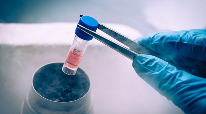 Alabama Supreme Court rules frozen embryos are ‘children’ in ‘wrongful deaths’ case Alabama Supreme Court rules frozen embryos are ‘children’ in ‘wrongful deaths’ case