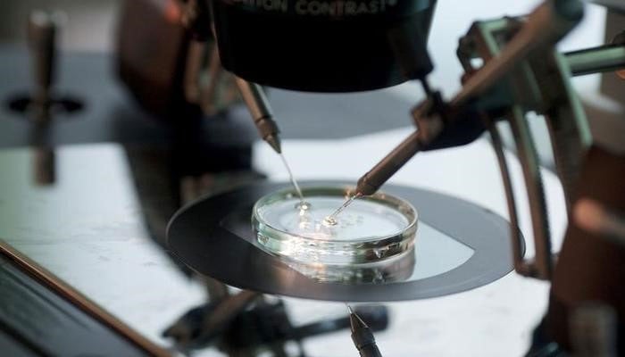 What is In Vitro Fertilization (IVF) and why it is done?.—Reuters/file