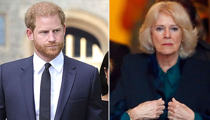 Queen Camilla was furious as Prince Harry came to UK for King Charles
