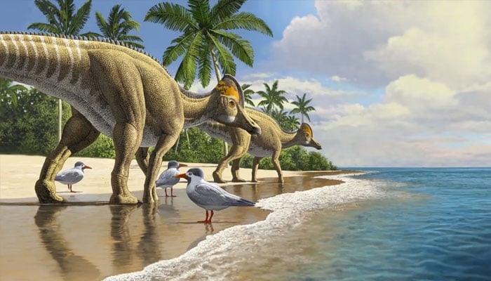 Dinosaur swam vast distances in a million-year survival journey, research reveals.—Daily Sun/file