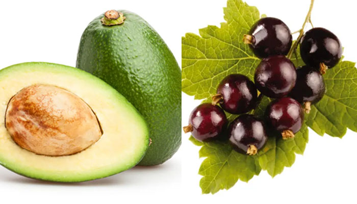 A representational picture of an avocado and Blackcurrants.—The US Sun