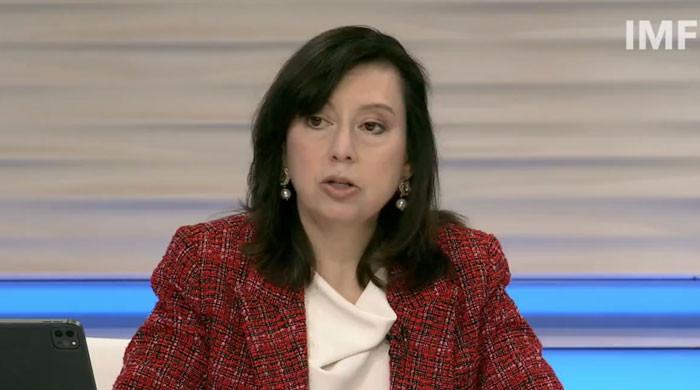 IMF ignores Imran Khan's demand, says ready to work with new Pakistani govt