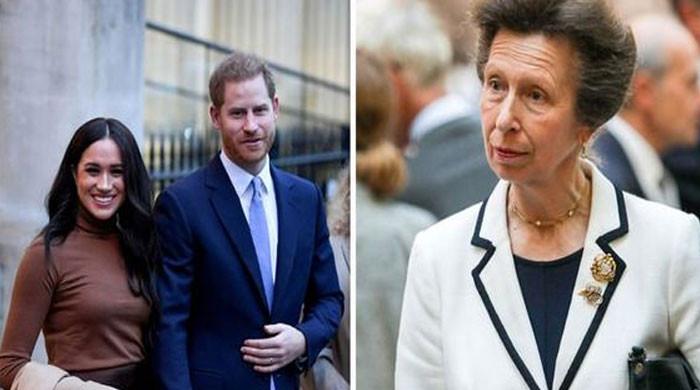 Prince Harry, Meghan Markle 'problem' can only be solve by King Charles 'weapon' - Vimarsana News