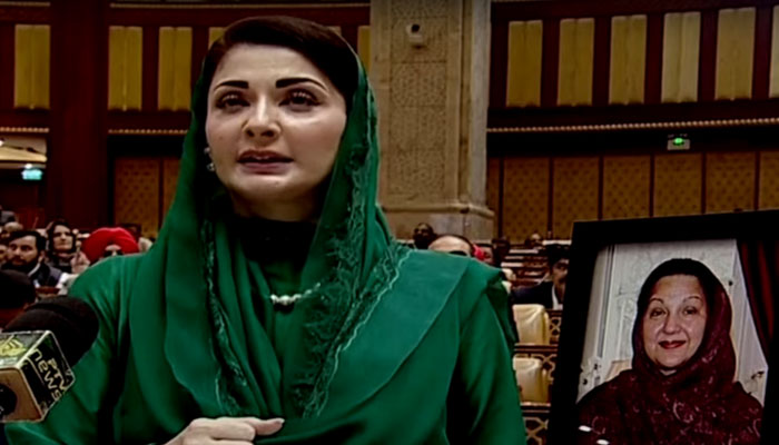 Punjab CM-elect Maryam Nawaz addressing the Punjab Assembly after her election victory. — Screengrab/PTV News